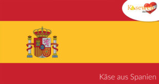 Käsesorte aus Spanien